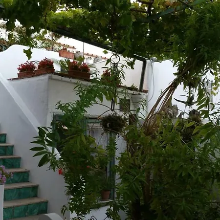 Il Gelso Apartmán Anacapri (Isola di Capri)